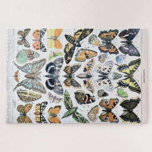 Vintager Schmetterling Papillon Alte Illustration Puzzle (Horizontal)