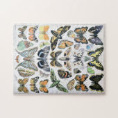 Vintager Schmetterling Papillon Alte Illustration  Puzzle (Horizontal)