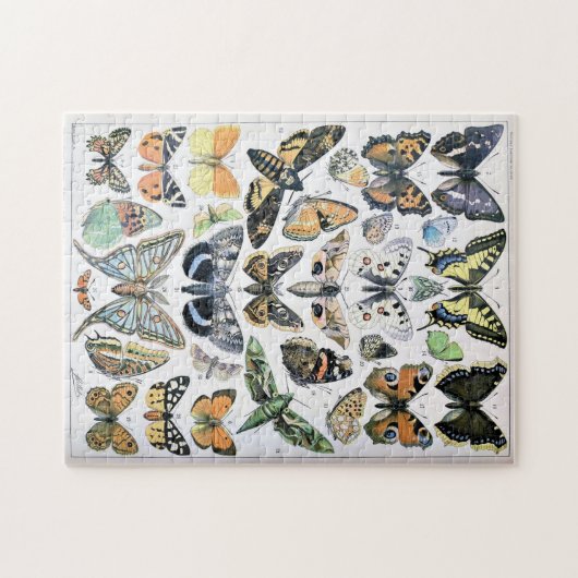 Vintager Schmetterling Papillon Alte Illustration Puzzle (Horizontal)
