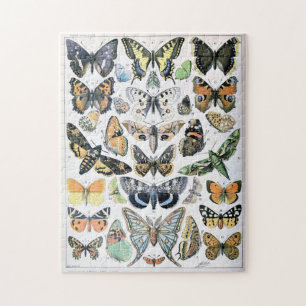 Vintager Schmetterling Papillon Alte Illustration  Puzzle