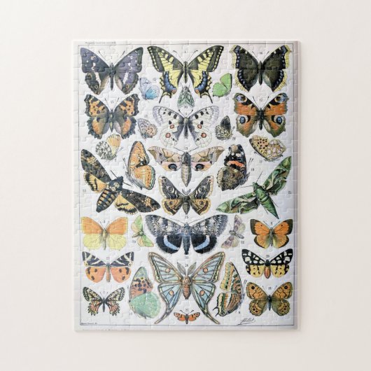 Vintager Schmetterling Papillon Alte Illustration  Puzzle (Vertikal)