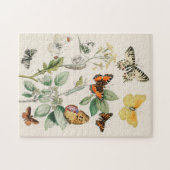 Vintager Schmetterling Papillon Alte Illustration  Puzzle (Horizontal)