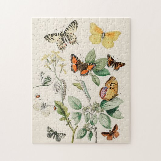 Vintager Schmetterling Papillon Alte Illustration  Puzzle (Vertikal)