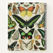 Vintager Schmetterling Personalisiert Notizblock (Rückseite)
