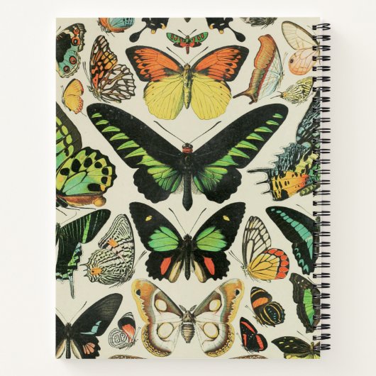 Vintager Schmetterling Personalisiert Notizblock (Rückseite)