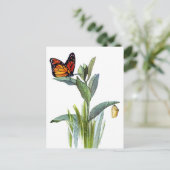 Vintager Schmetterling Postkarte (Stehend Vorderseite)