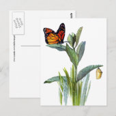 Vintager Schmetterling Postkarte (Vorne/Hinten)