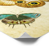 Vintager Schmetterling Print 006 Poster (Ecke)