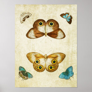 Vintager Schmetterling Print 006 Poster
