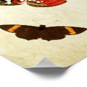 Vintager Schmetterling Print 018 Poster (Ecke)