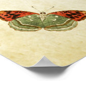 Vintager Schmetterling Print 025 Poster (Ecke)