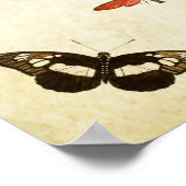 Vintager Schmetterling Print 045 Poster (Ecke)