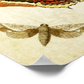 Vintager Schmetterling Print 074 Poster (Ecke)