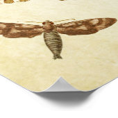 Vintager Schmetterling Print 088 Poster (Ecke)