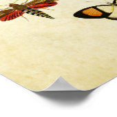 Vintager Schmetterling Print 125 Poster (Ecke)