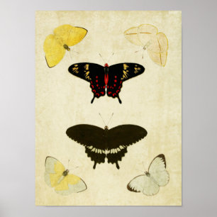 Vintager Schmetterling Print 141 Poster