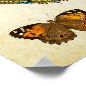 Vintager Schmetterling Print 161 Poster (Ecke)