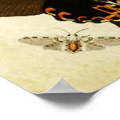 Vintager Schmetterling Print 181 Poster (Ecke)