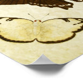Vintager Schmetterling Print 187 Poster (Ecke)