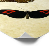 Vintager Schmetterling Print 190 Poster (Ecke)