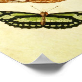 Vintager Schmetterling Print 196 Poster (Ecke)
