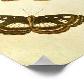 Vintager Schmetterling Print 212 Poster (Ecke)