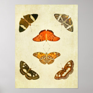 Vintager Schmetterling Print 212 Poster