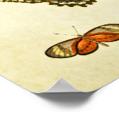 Vintager Schmetterling Print 231 Poster (Ecke)
