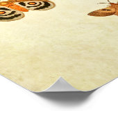 Vintager Schmetterling Print 249 Poster (Ecke)
