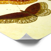 Vintager Schmetterling Print 266 Poster (Ecke)