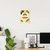 Vintager Schmetterling Print 267 Poster (Heimbüro)