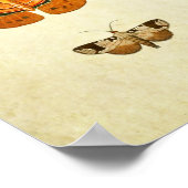 Vintager Schmetterling Print 272 Poster (Ecke)