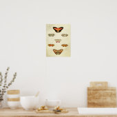 Vintager Schmetterling Print 315 Poster (Küche)
