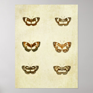 Vintager Schmetterling Print 327 Poster