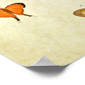 Vintager Schmetterling Print 331 Poster (Ecke)