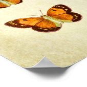 Vintager Schmetterling Print 351 Poster (Ecke)