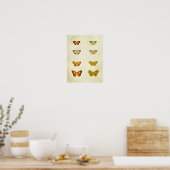 Vintager Schmetterling Print 351 Poster (Küche)