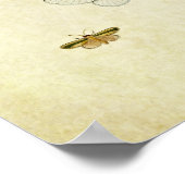 Vintager Schmetterling Print 355 Poster (Ecke)