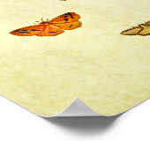 Vintager Schmetterling Print 360 Poster (Ecke)