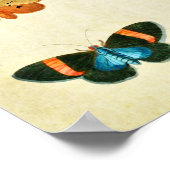 Vintager Schmetterling Print 368 Poster (Ecke)