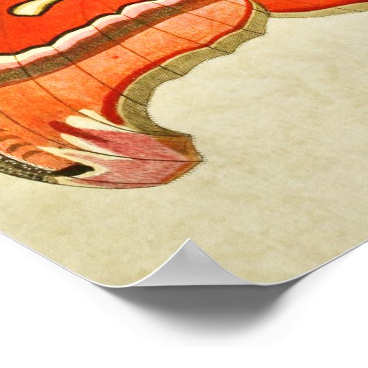 Vintager Schmetterling Print 381 Poster (Ecke)