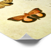 Vintager Schmetterling Print 399 Poster (Ecke)