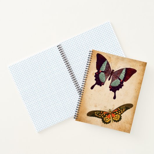 Vintager Schmetterlingskörper Notizblock (Innenseite)