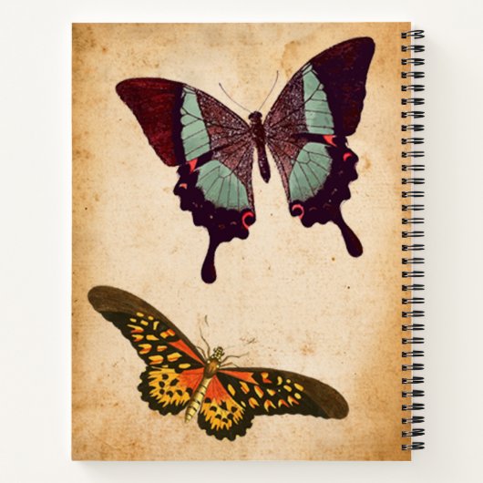 Vintager Schmetterlingskörper Notizblock (Rückseite)