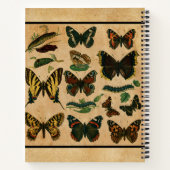 Vintager Schmetterlingsname Notizblock (Rückseite)