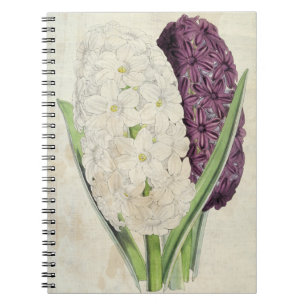 Vintager Schneeball & Lord Clyde Oriental Hyacinth Notizblock