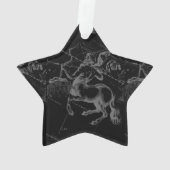 Vintager Schütze Konstellation Black Hevelius Ornament (Rückseite)