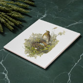 Vintager Schutzwurf ihre Eier Fliese