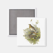 Vintager Schutzwurf ihre Eier Magnet (Vorderseite/Rückseite)