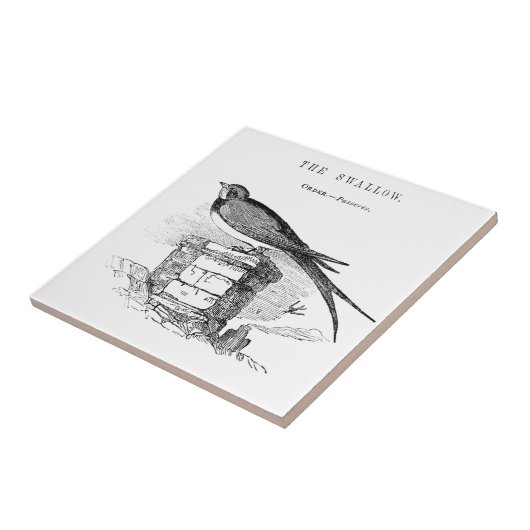 Vintager Schwalbenvogel Fliese (Seite)